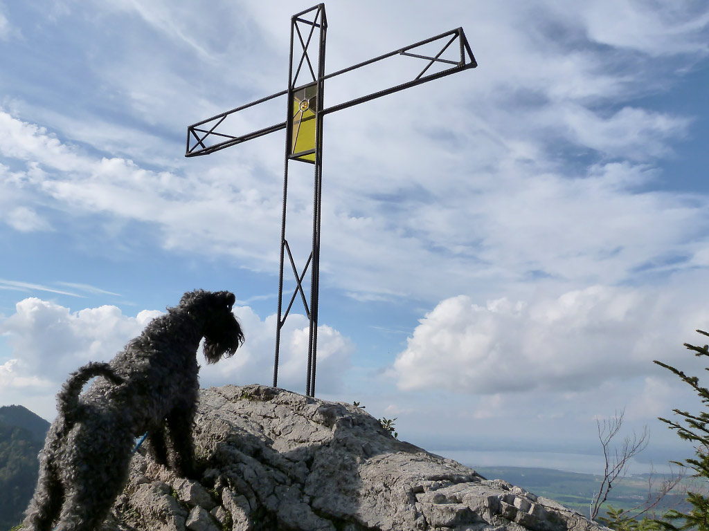 Camillo auf dem Gipfel des Hochfellen 1674m über dem Chiemsee