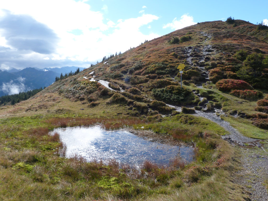 Pinzgauer Höhenweg