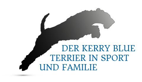 Kerry-Champion - Der Kerry Blue Terrier in Sport und Familie!